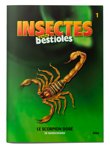 INSECTES ET BESTIOLES 2023 001