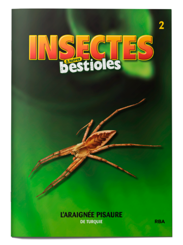 INSECTES ET BESTIOLES 2023 002