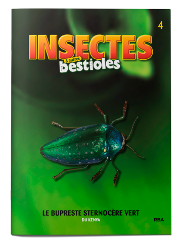 INSECTES ET BESTIOLES 2023 004