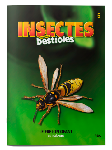 INSECTES ET BESTIOLES 2023 005